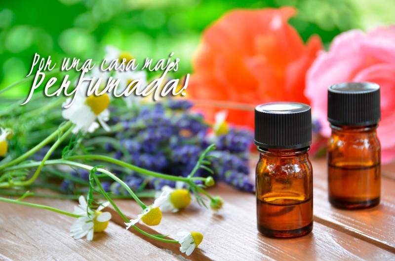 Flores Frescas: Um Toque Clássico que Transforma o Ambiente - inspiração 2