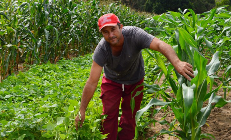 Planejando o Espaço: Otimizando Pequenos Canteiros - inspiração 1