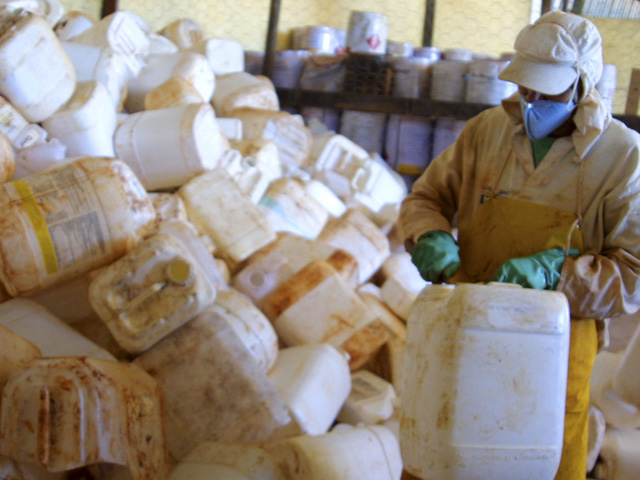 Apresentando Mel e Derivados de Abelhas com Elegância - inspiração 1