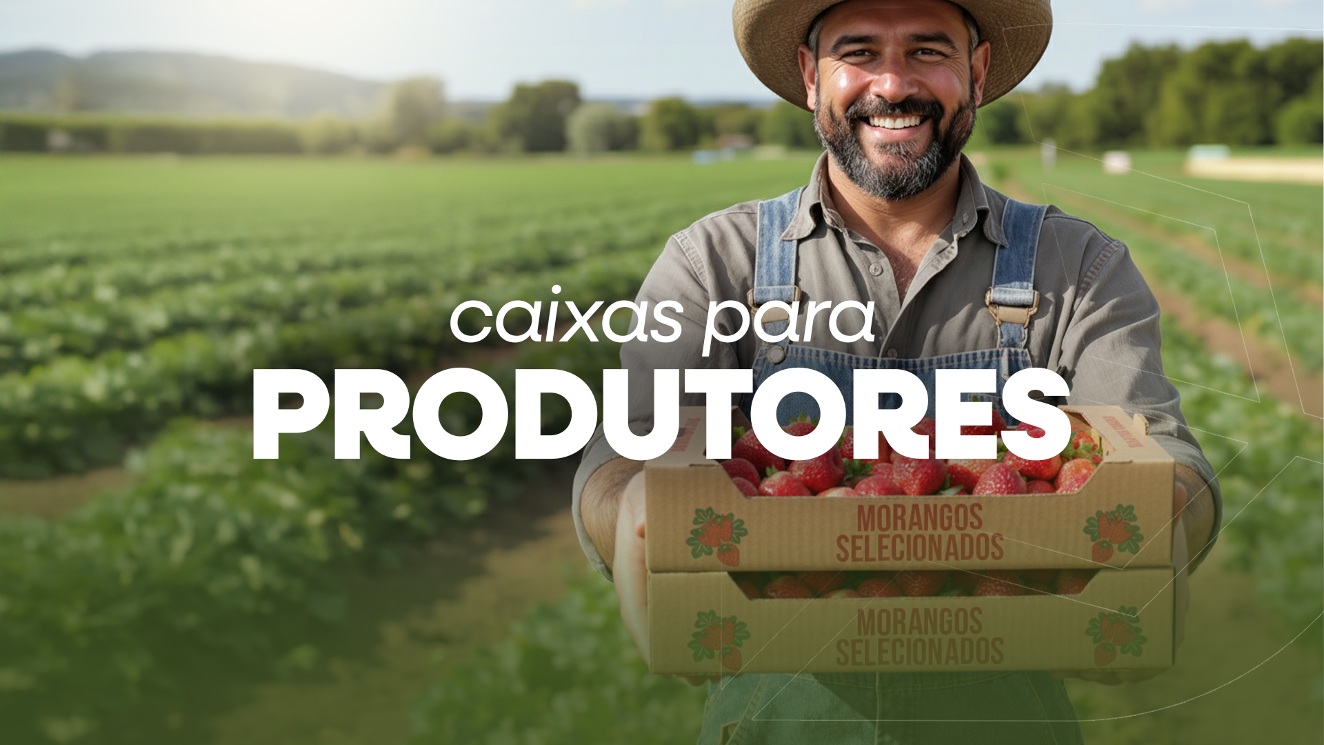 Apresentando Mel e Derivados de Abelhas com Elegância - inspiração 2