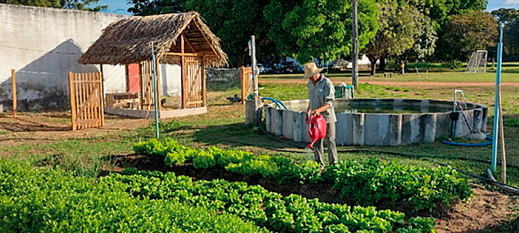 O Que é a Embrapa Agricultura Familiar e Por Que Ela Importa? - inspiração 2