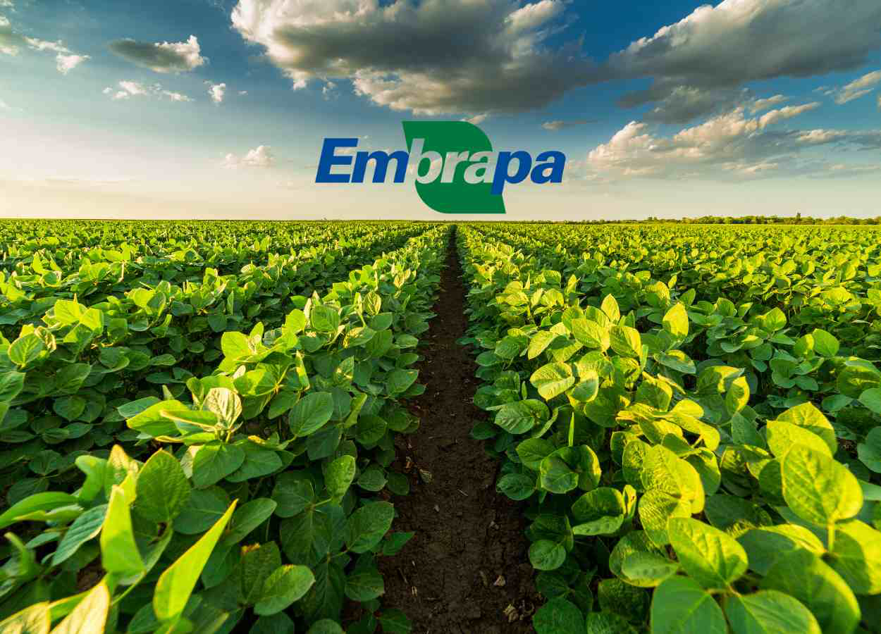 Sustentabilidade no Campo: Estratégias para um Futuro Mais Verde - inspiração 1