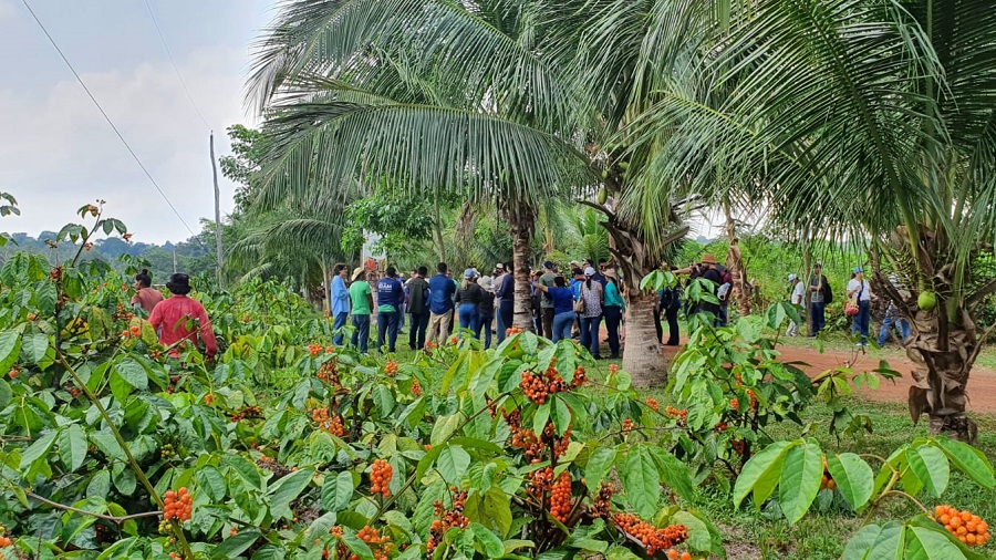 Culturas que Valem a Pena: Escolhendo as Melhores Opções para Sua Região - inspiração 1