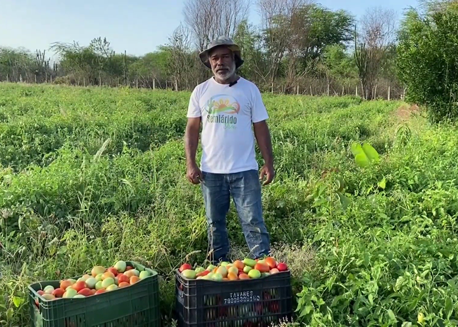 Produção Animal Sustentável: Orientação para Pequenos Criadores - inspiração 1