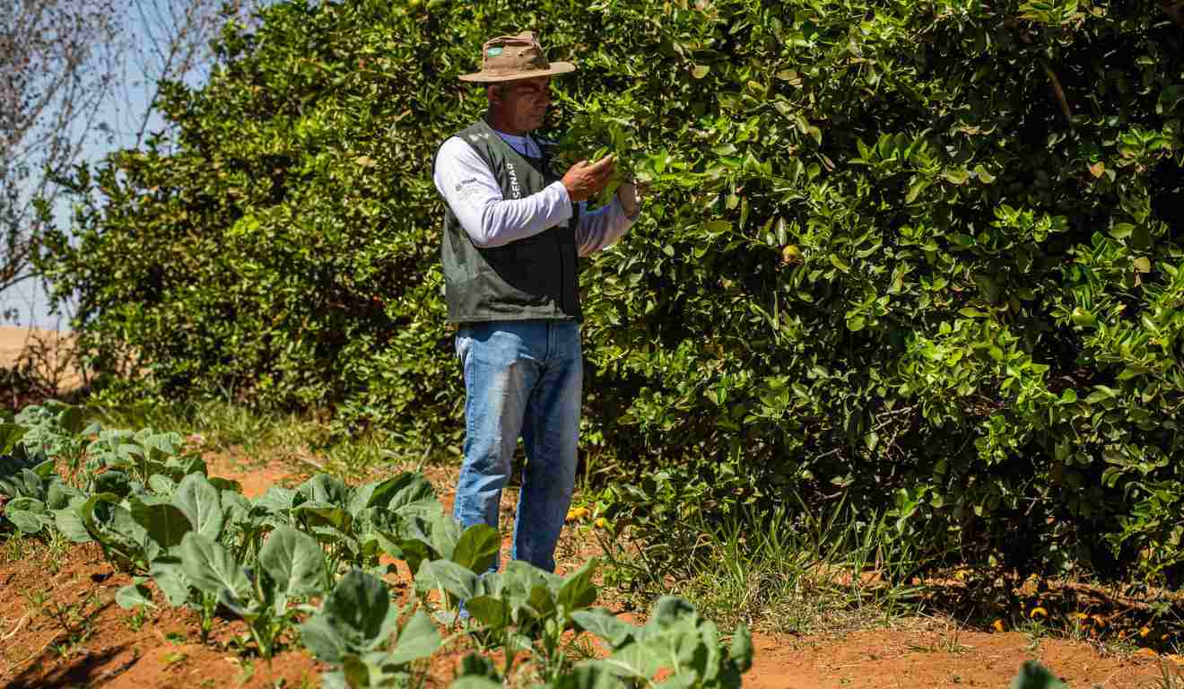 Acesso a Crédito e Mercados: Conectando Você a Oportunidades - inspiração 2