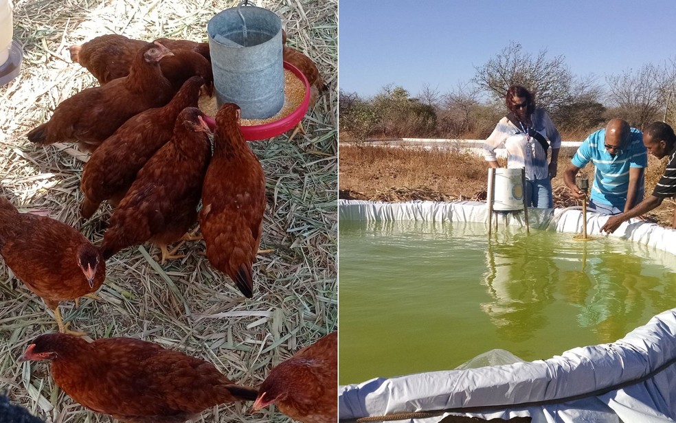 Capacitação e Treinamento: Aprendendo com os Melhores Especialistas - inspiração 2