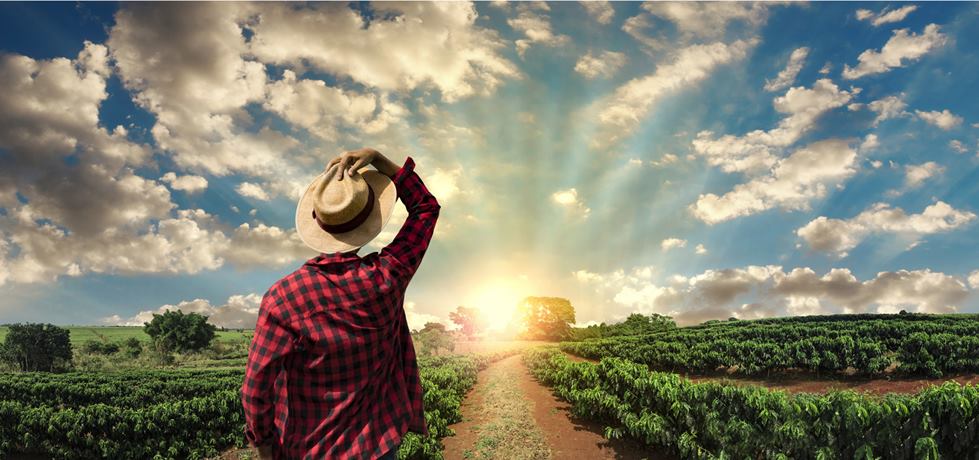 Identificando a Oportunidade Certa no Campo para Você - inspiração 2