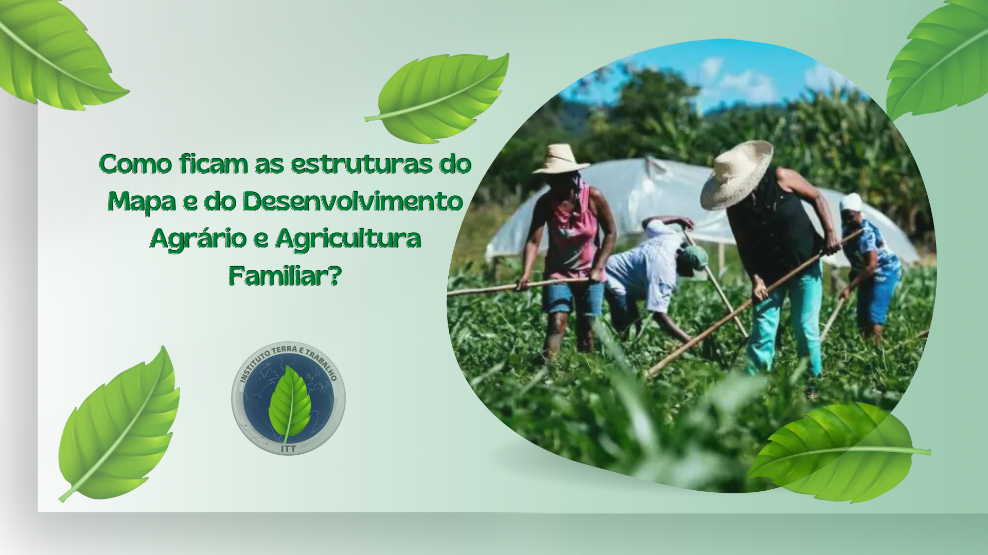 Construindo uma Rede de Apoio: Conecte-se com Outros Empreendedores Rurais - inspiração 1