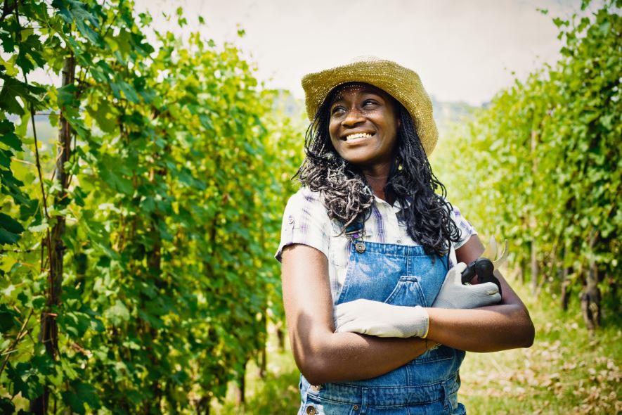 Validando Sua Ideia de Negócio Rural: O Primeiro Passo Crucial - inspiração 1