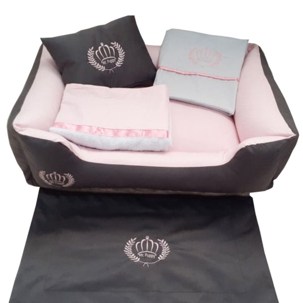 Coleira e Guia: Segurança e Estilo para os Passeios Iniciais - inspiração 1