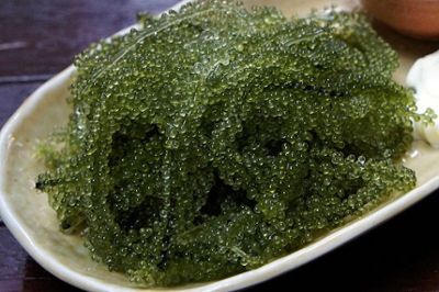 Espirulina: Um Tesouro Nutricional Compacto - inspiração 1