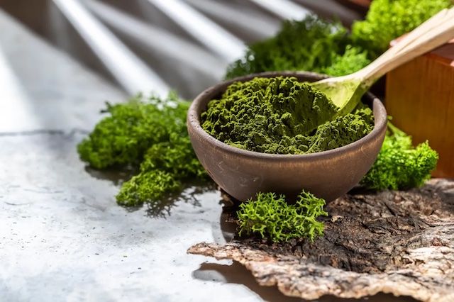 O Poder da Espirulina Contra o Envelhecimento Precoce - inspiração 1