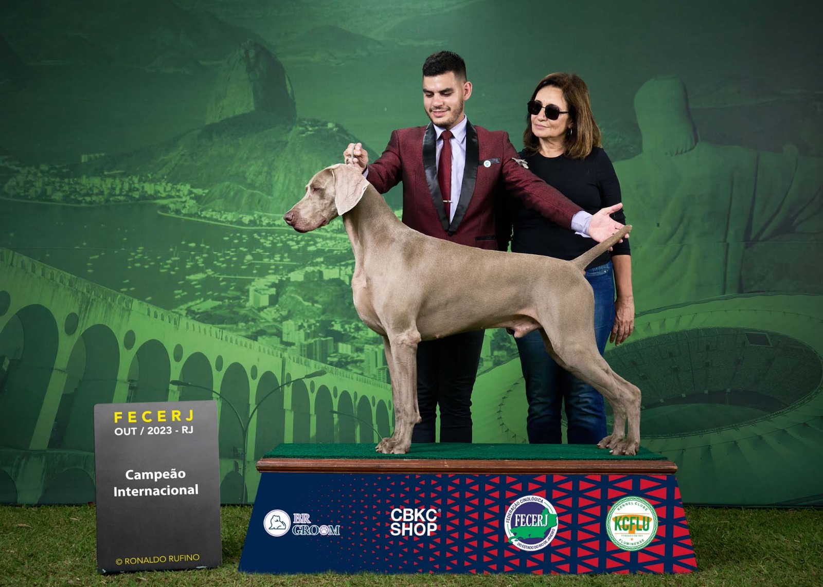 Saúde em Primeiro Lugar: Check-ups e Vacinação em Dia - inspiração 1