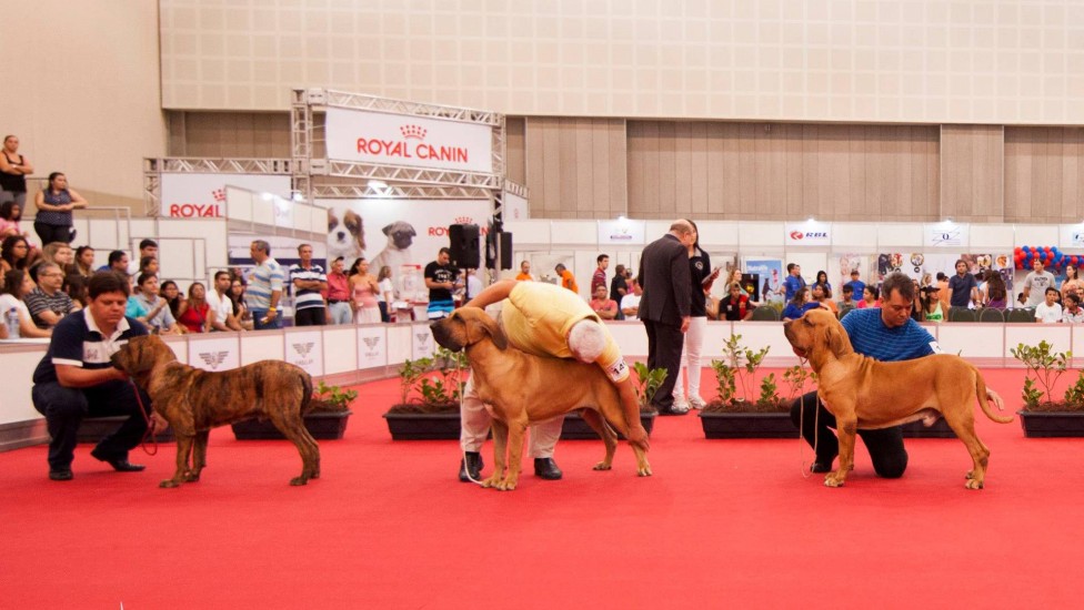 Saúde em Primeiro Lugar: Check-ups e Vacinação em Dia - inspiração 2