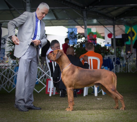 Higiene e Limpeza: O Charme do Bem-Cuidado - inspiração 1