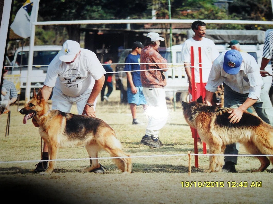 Higiene e Limpeza: O Charme do Bem-Cuidado - inspiração 2