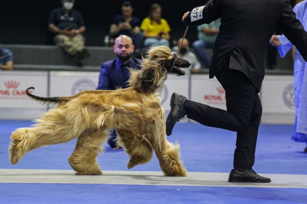 Acessórios que Valorizam: A Roupa Certa para a Ocasião - inspiração 1