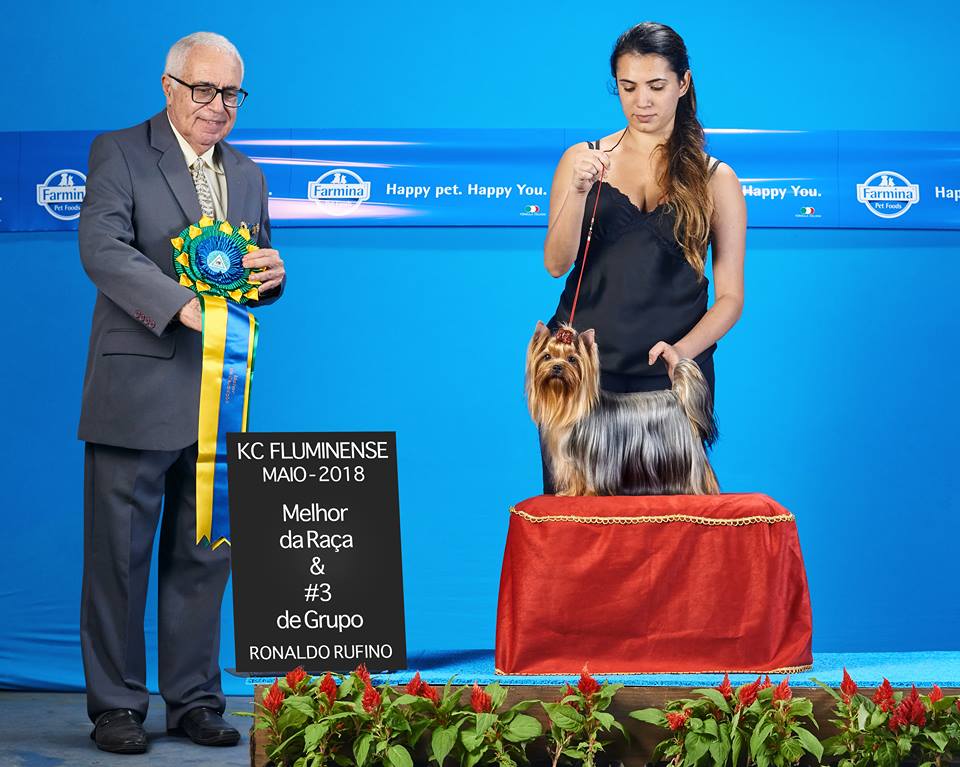 Aclimatação ao Ambiente de Exposição: Menos Estresse, Mais Confiança - inspiração 2