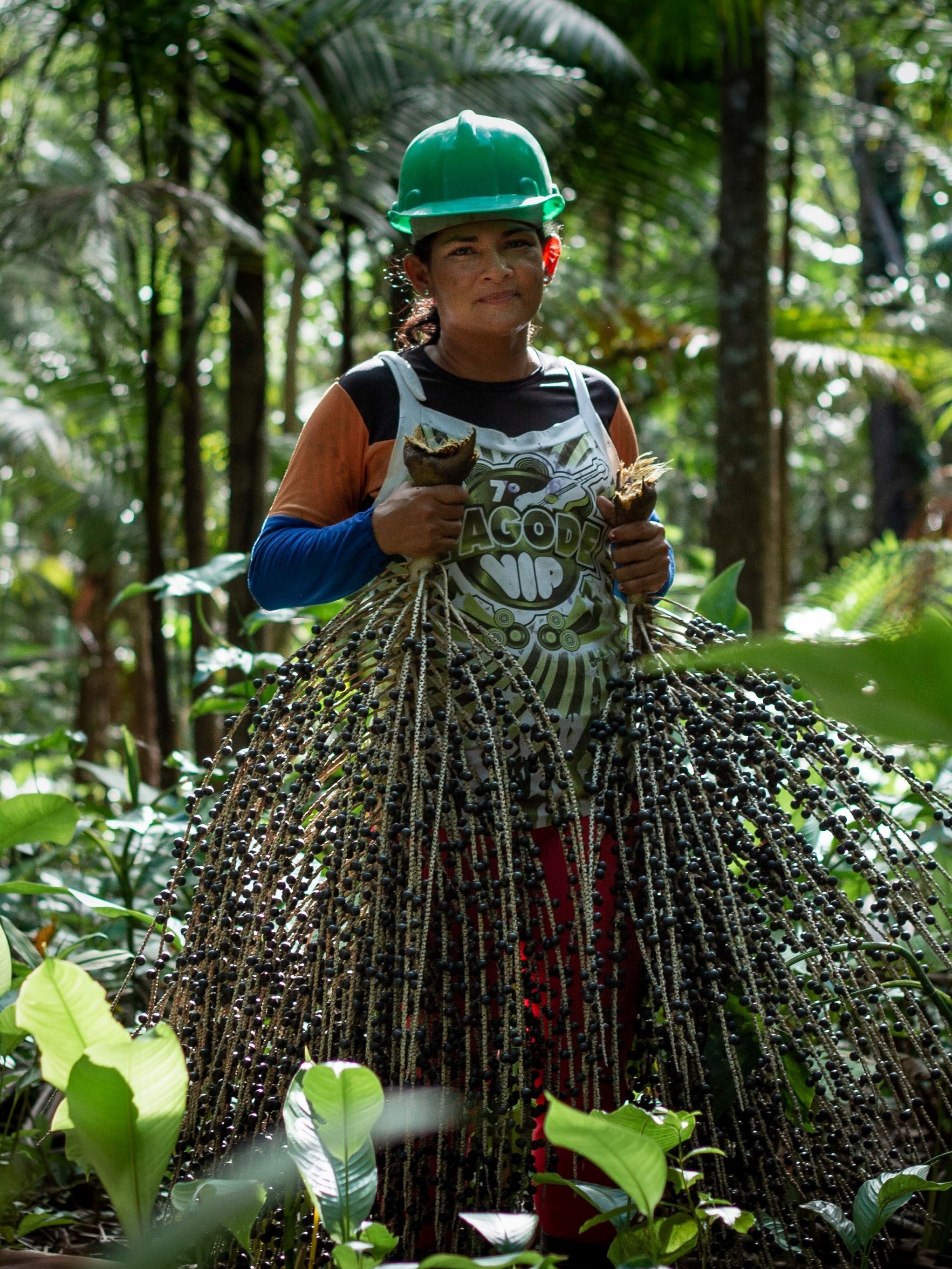 Diferenças Cruciais: Extrativismo Sustentável vs. Não Sustentável - inspiração 2