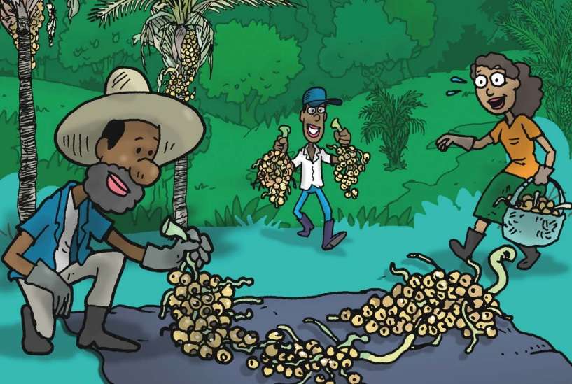 Biodiversidade em Jogo: Como o Extrativismo Sustentável Protege Nossos Ecossistemas - inspiração 2