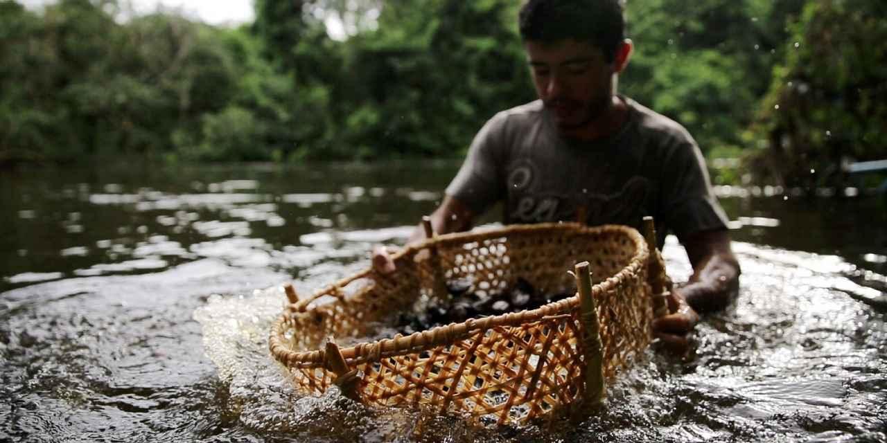 Recursos Naturais: Da Floresta Para Sua Casa com Consciência - inspiração 2