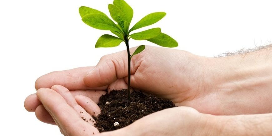 Comunidades Locais: O Papel Essencial Delas no Processo - inspiração 2