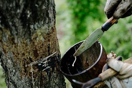 Certificações: O Selo de Garantia Que Você Busca - inspiração 1