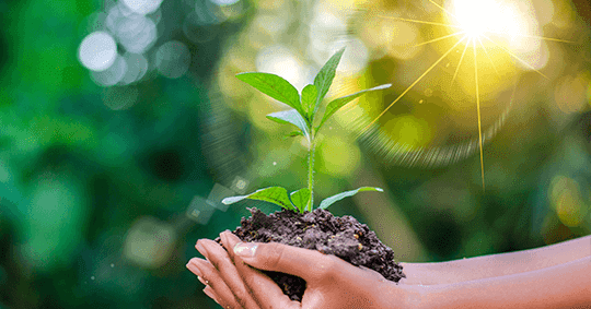 Produtos Que Você Usa e Ama: Exemplos do Nosso Dia a Dia - inspiração 2