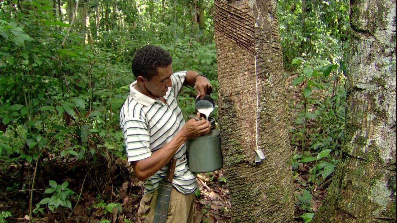 Consumo Responsável: Sua Parte na Cadeia Produtiva - inspiração 2