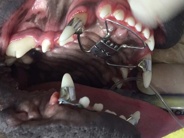 Gerenciando a Dor: Sinais e Medidas de Alívio - inspiração 2