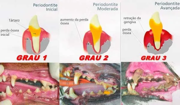 O Papel da Medicação: Entendendo os Prescritos - inspiração 1