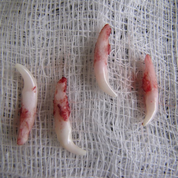 A Importância do Repouso: Criando um Ambiente Confortável - inspiração 1