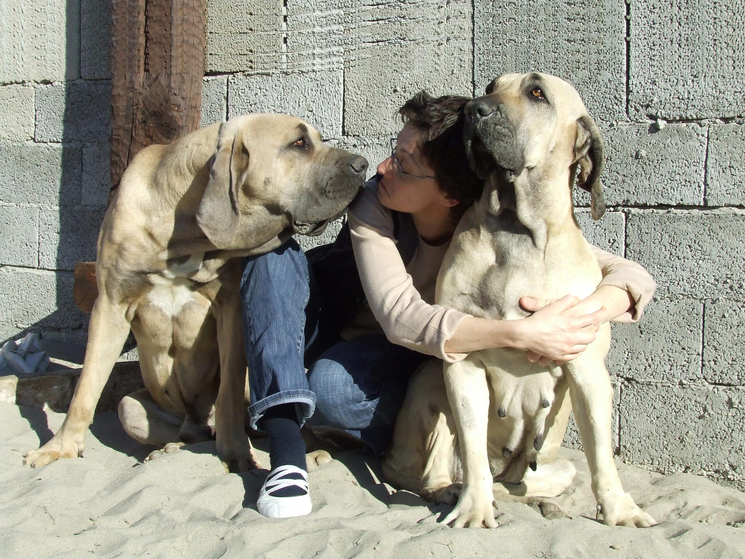 Longevidade e Problemas de Saúde Comuns: Cuidados Preventivos - inspiração 1