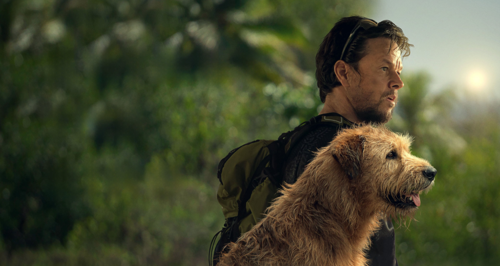 A Laços de Amizade que Conquistaram o Coração: 'Sempre ao Seu Lado' - inspiração 2