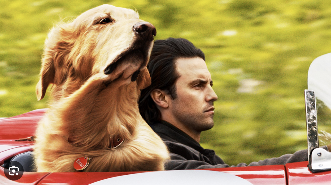 A Missão Secreta de um Cão Herói: 'K-9 - Um Policial Bom Pra Cachorro' - inspiração 2