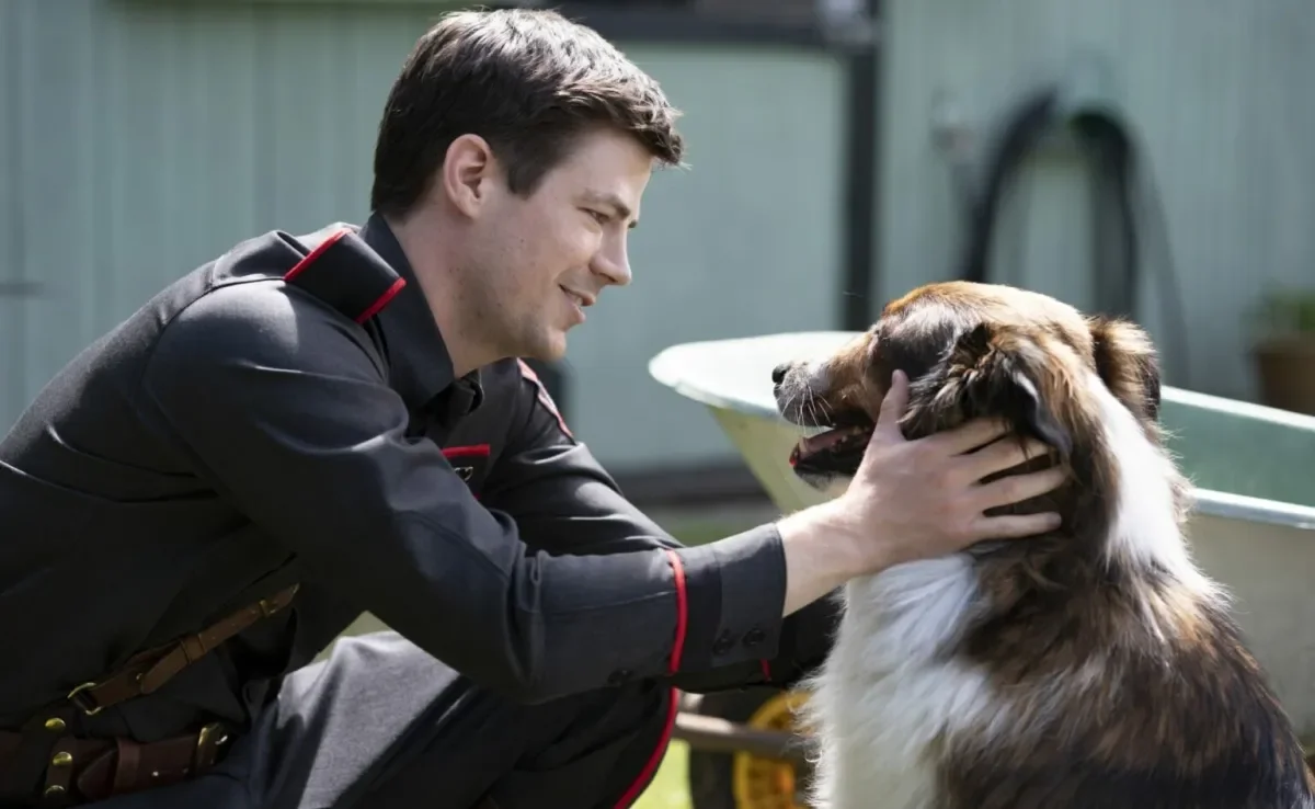 O Poder da Companhia Incondicional: 'Sempre Amigos' e Sua Mensagem - inspiração 1