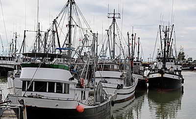 Financiamento Bancário Tradicional: O que Você Precisa Saber - inspiração 2