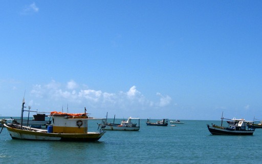 Análise de Crédito: Como Se Preparar para a Aprovação - inspiração 1