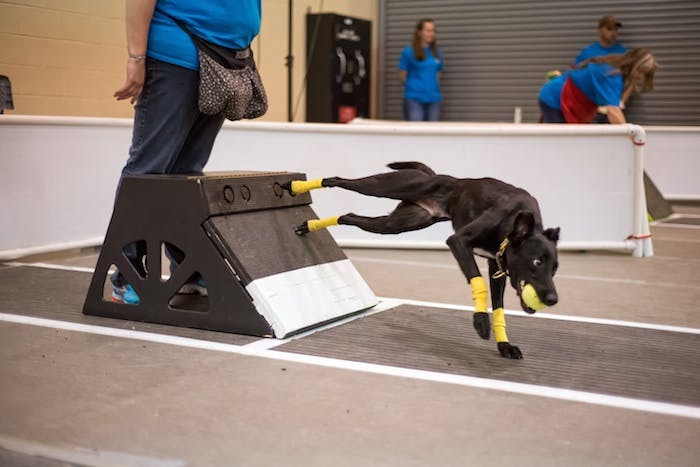 Preparando seu campeão: Habilidades essenciais antes de começar - inspiração 2