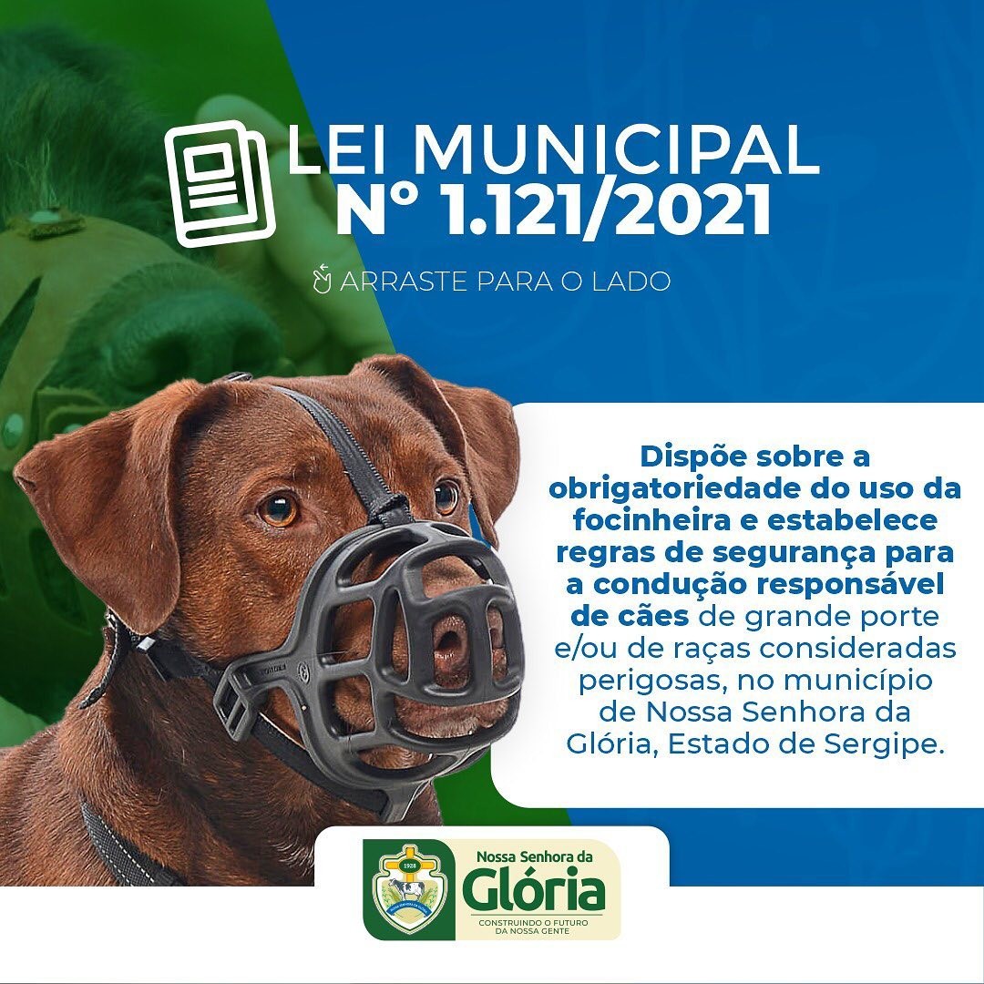 Raças e Tamanhos: Quem Está na Mira da Lei?