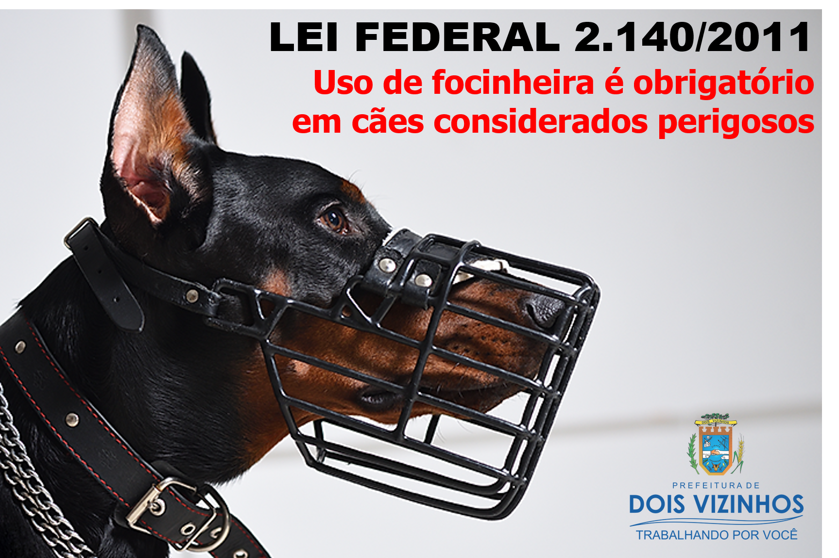 Condomínios e Locais Públicos: Onde o Uso é Exigido?