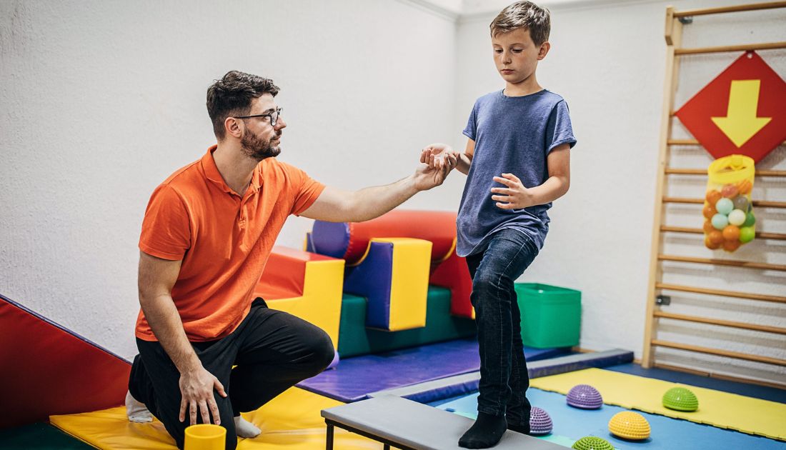 O Currículo Essencial: Matérias que Você Vai Dominar - inspiração 1