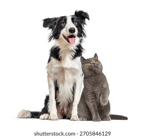 Linguagem corporal: entendendo os sinais de cada um - inspiração 2