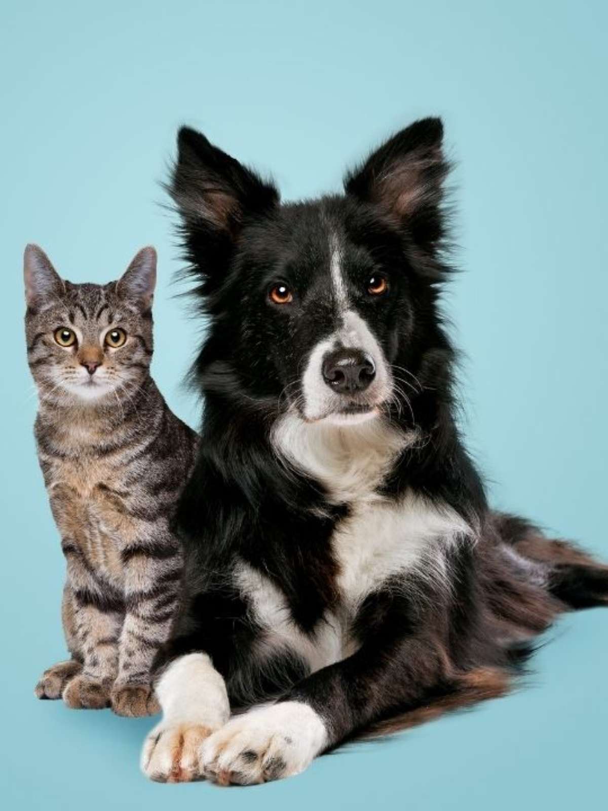 Identificando e gerenciando estresse: sinais de alerta - inspiração 2