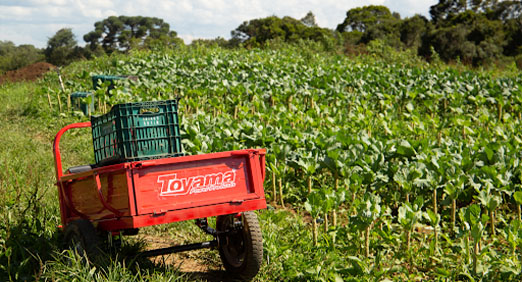 Comece pelo Lixo Orgânico: Compostagem para Iniciantes - inspiração 2