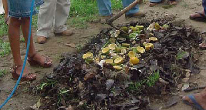 Separação Consciente: O Que Realmente Pode Ser Reciclado? - inspiração 1