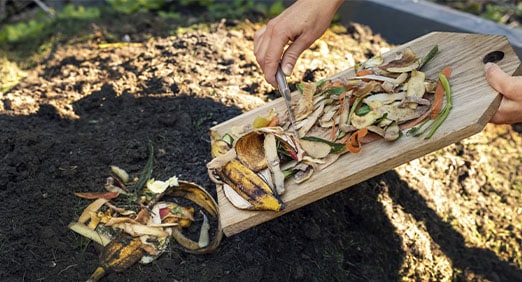 Separação Consciente: O Que Realmente Pode Ser Reciclado? - inspiração 2