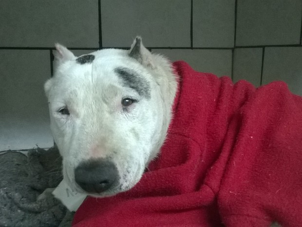 Sinais de Alerta Precoce: Aprenda a Identificar os Primeiros Sintomas de Frio Excessivo - inspiração 1