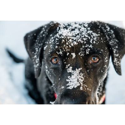 Passeios Seguros: Atenção ao Tempo de Exposição e Intensidade do Frio - inspiração 2