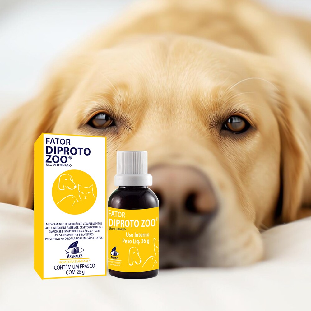 Apoio Homeopático para Condições de Pele e Alergias - inspiração 2